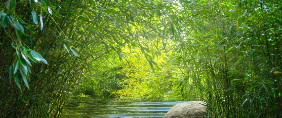 Zelfklevend Fotobehang water in het bamboebos © winyu