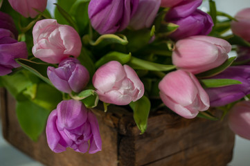 Beautiful pink tulips in a wooden box. . Congratulations. Festive background.