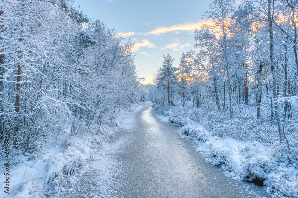 Wall mural Ethereal snow forest and a river