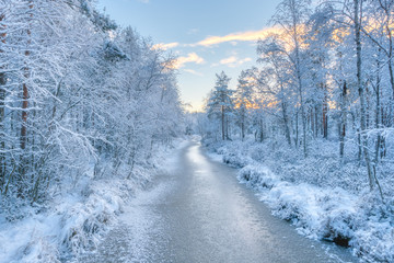 Fototapeta premium Ethereal snow forest and a river