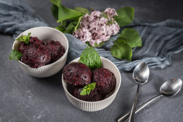 Organic berry sorbet on rustic background