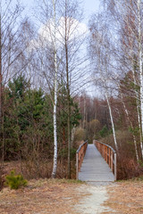 Wooden bridge in forest in early spring - 269847317