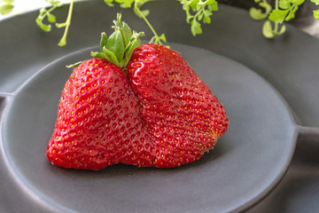 Large ripe strawberries original unusual shape lies on a beautiful black matte plate on a gray background. Copy space