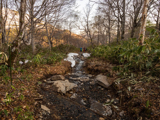 鳩待峠から、尾瀬に下る登山道残雪５月