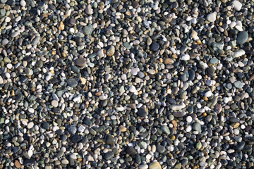 Sea stones background of the many beautiful colored stones