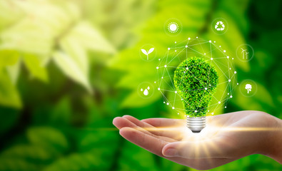 Fototapeta na wymiar Hand holding light bulb against nature on green leaf with icons energy sources for renewable, sustainable development. Technology ,Environment ,Ecology concept.