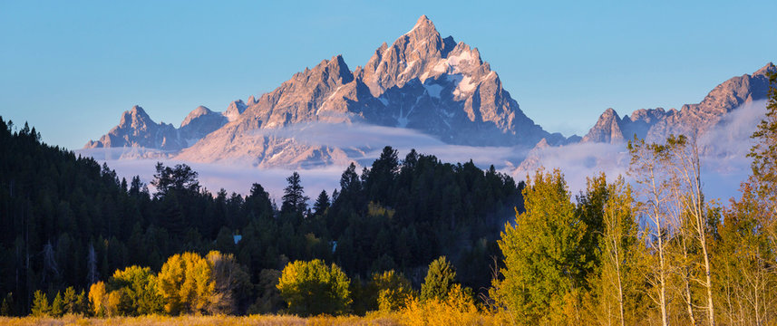 Autumn In Grand Teton