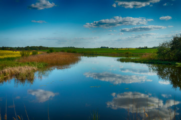 Fototapeta na wymiar Amazing reflection on tranquil pond surface