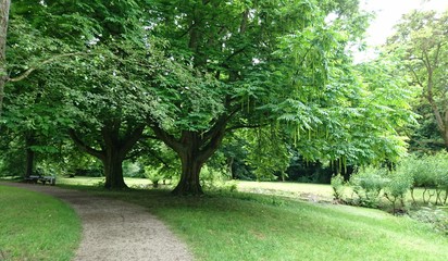 path in the park