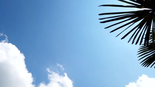 Himmel mit Wolken und Palmenblatt