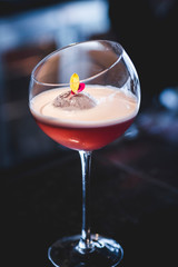 beautiful alcohol cocktail for party
