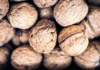 Natural walnut in shell background pattern texture.