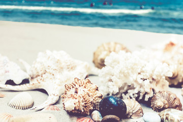 Obraz na płótnie Canvas Seashells, stones and sea stars on the sand, summer beach background travel concept with copy space for text.