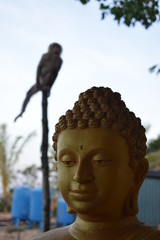 Świątynia Wielkiego Buddy, Phuket