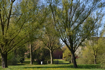 Fototapeta premium Alte Leine, Niedersachsen