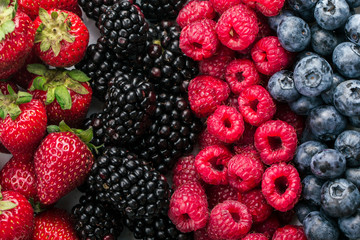 Fresh Summer Berries mix Background with Strawberry, Raspberry, Red currant, Blueberry and Blackberry.