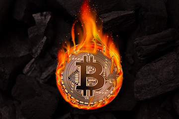 Burning golden bitcoin coin