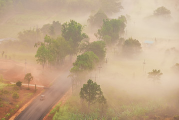 Fototapeta premium Aerial view of road with car through forest and fog in the morning