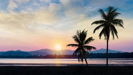 Coconut tree with sunset