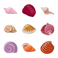 Vector design of seashell and mollusk symbol. Set of seashell and seafood  vector icon for stock.