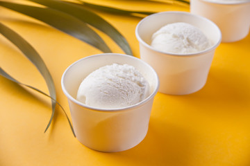Row of vanilla ice cream and palm leaf on the yellow background
