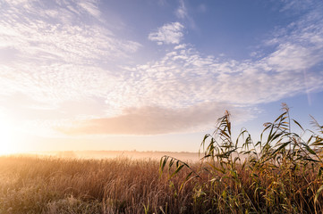 Dawn over the river on a summer morning, fog over the field, grass with hoarfrost