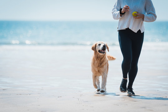 Fit Young woman running with her dog on the beach