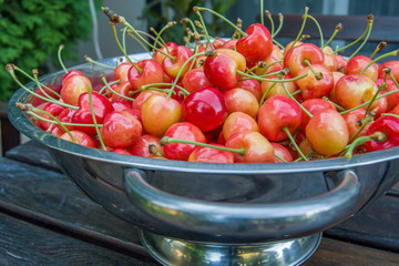 Shining colorful and fresh cherries with petioles in a colander