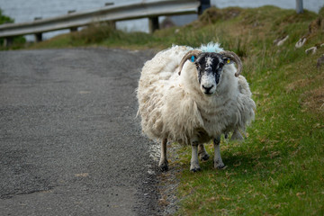 Schottland Isle of Skye