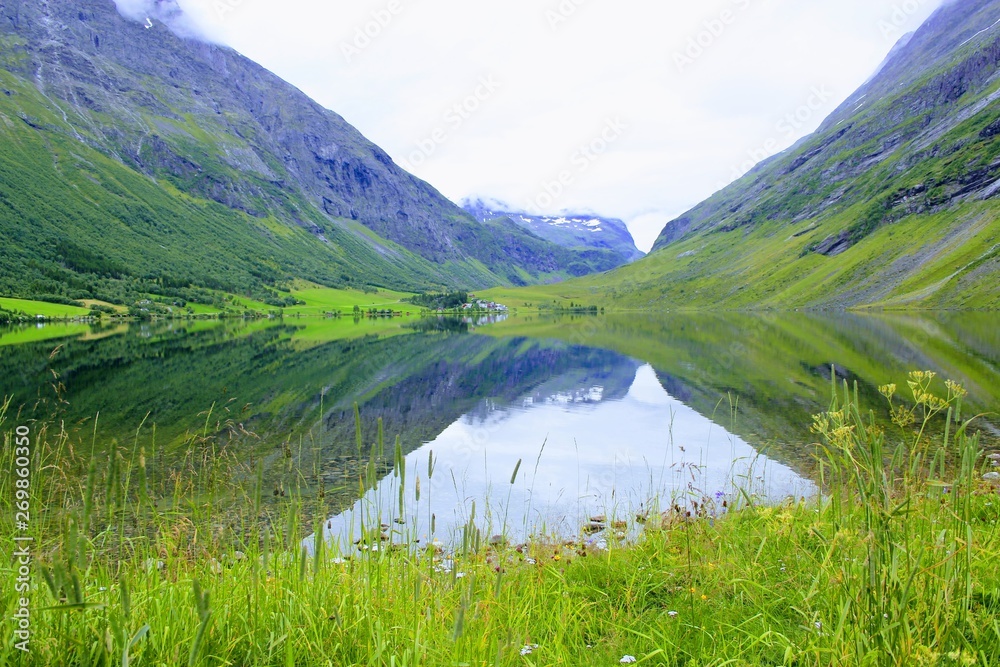 Wall mural Life outdoors nature