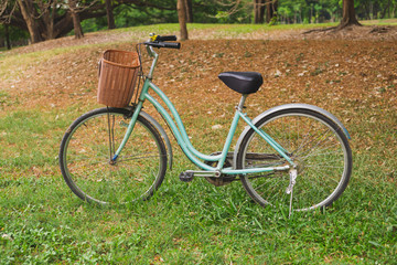 Fototapeta na wymiar Beautiful vintage bicycle in park
