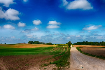 Fototapeta na wymiar Gravel country road through farm fields