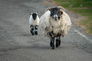Schottland Isle of Skye