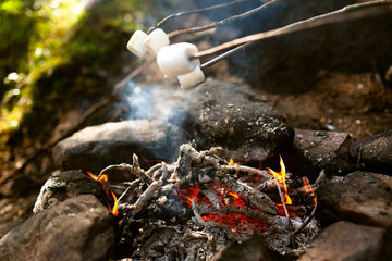 A girl sits by the fire in the woods drinking tea and roasting marshmallows
