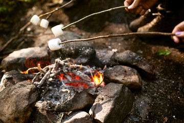 A girl sits by the fire in the woods drinking tea and roasting marshmallows