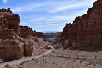 Fototapeta na wymiar red rock canyon 