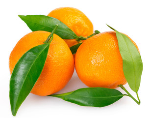Fresh mandarin on white background