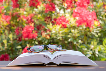 Eyeglasses on open book on wooden table in summer garden