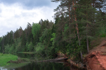 Yield on the surface of the geological formation Devon. Landscape with river and forest.