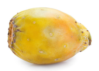 Fresh opuntia on white background. Prickly pear.