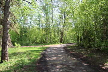 Springs Trail, Gold Bar Park, Edmonton, Alberta
