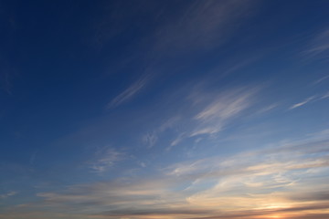 Naklejka na ściany i meble Brightly lit in sunset blue sky in white cirrus clouds
