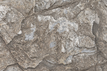 Stoney rock surface on beach