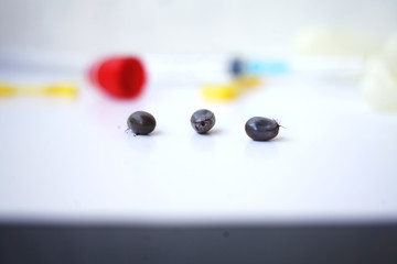 blood-pumping ticks and tools for removing ticks -gloves ,syringes/ test tube and hooks for removing ticks