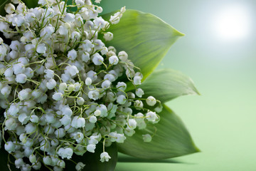 Lily of the valley flowers blossom on backdrop of the sun.