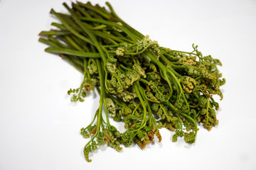 白バックにワラビの山