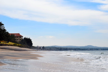 Coconut palm trees by the sea.  rainforest. Exotic landscapes of Asia. Beautiful sea view. The Beaches Of Vietnam.  The tourist resort of Mui Ne.