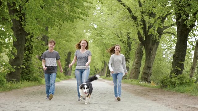 Happy family - mom, son and daughter, walking with dog. Woman, boy and girl with Australian shepherd dog. Mother and two children go on road in city park. They are talking and enjoying beautiful day