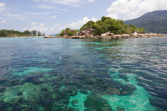 Lipe island or Koh Lipe with clear sea where diving area and beautiful in under sea in Koh Lipe, Satun provine,Thailand.