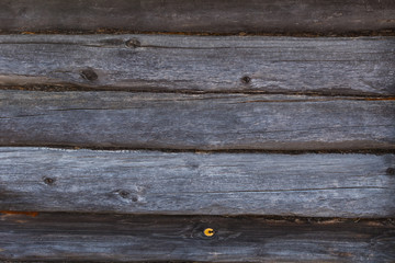 Old grey wood texture close-up